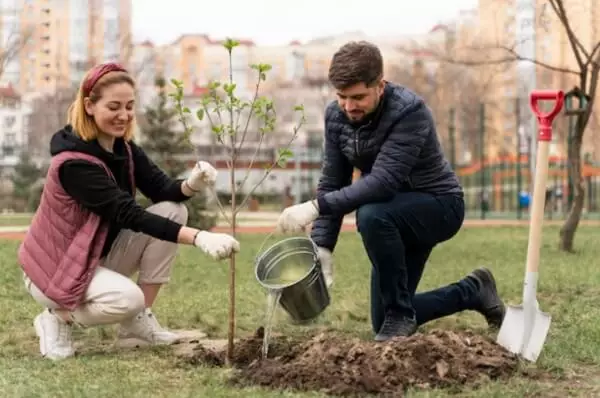 Социално взаимодействие